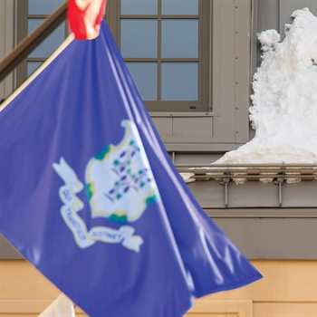 AceClamp metal roof snow bars, fast-installing snow avalanche protection for the Delmar Hotel.